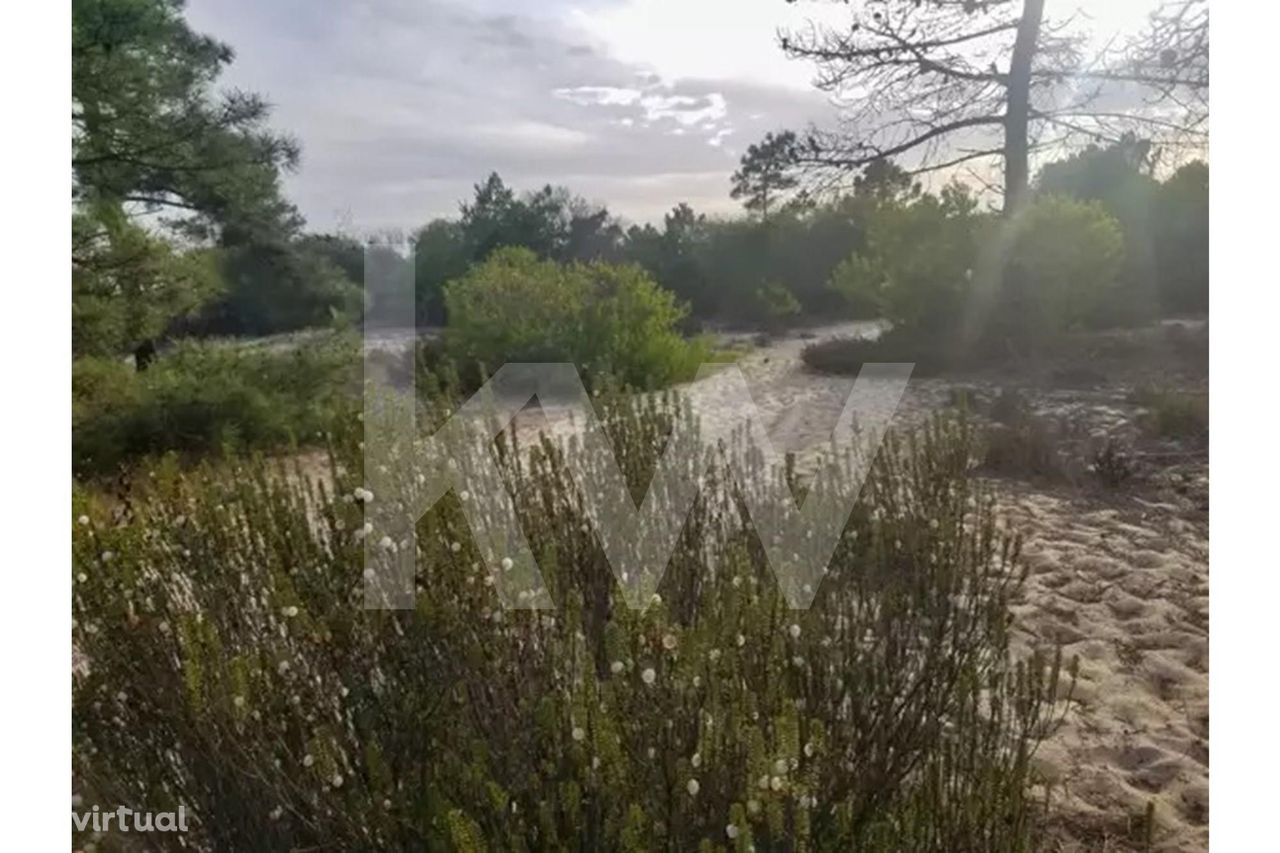 Terreno á venda na Herdade da Comporta, totalmente vedada e com portão