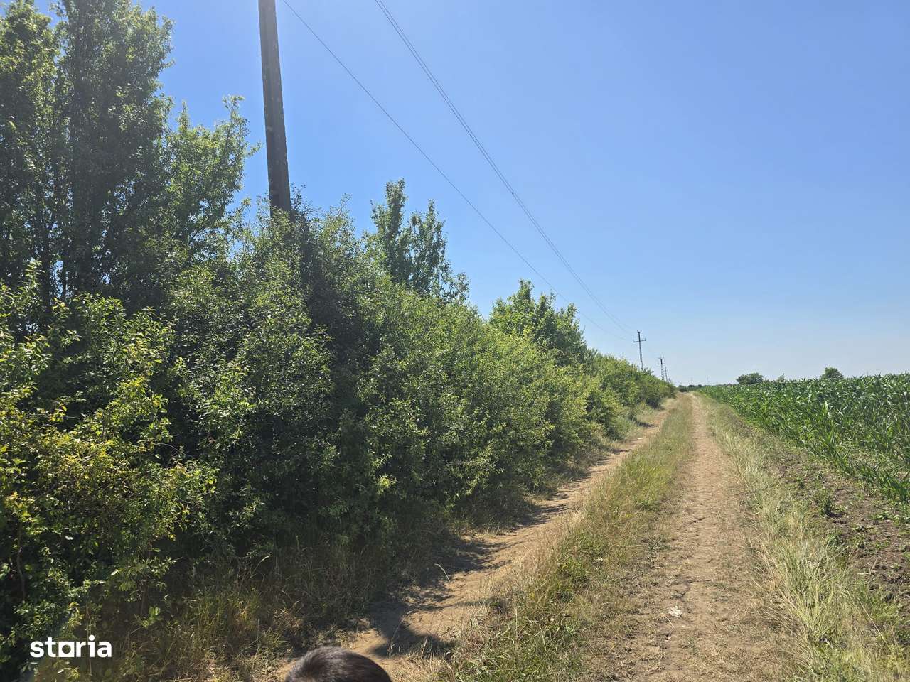 Teren 5.755 mp, poziție excelentă– Str. Lucian Blaga, Satu Mare-5