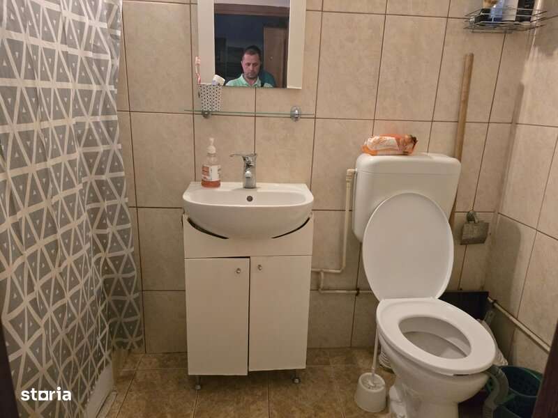 Theodor Pallady, 5 minute metrou 1 Decembrie 1918,  pe Patriotilor - Imagine principală: 5/14