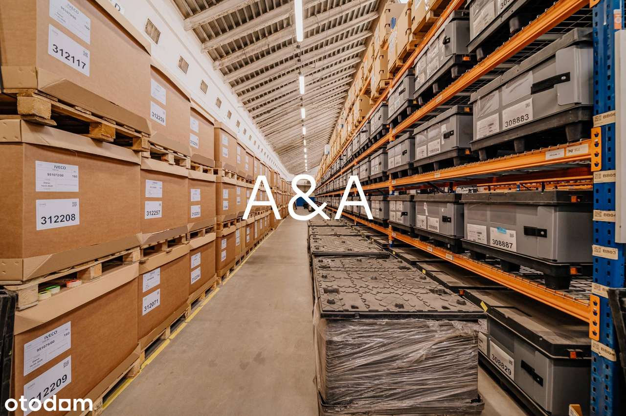 Hala produkcyjno magazynowa 7 685 m2 - Pełny obrazek: 3/12