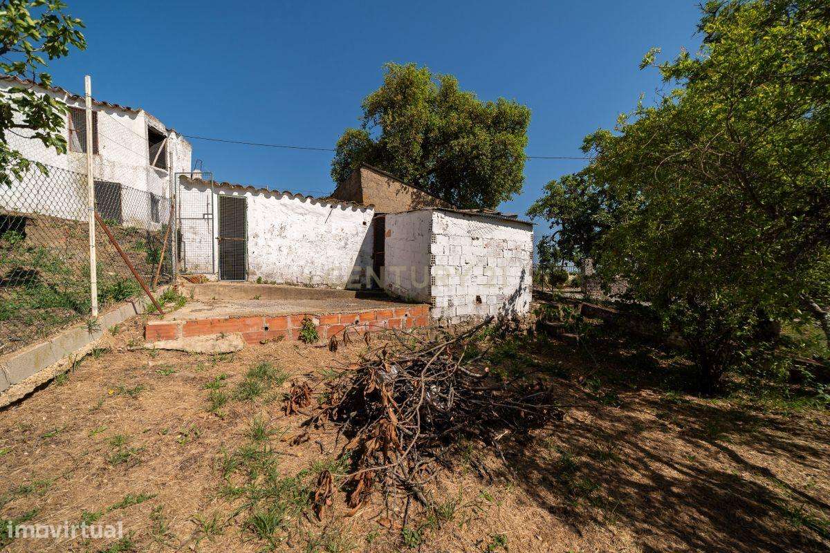 Casa Tradicional Algarvia com Charme no Alportel -  São Brás de Alport-27