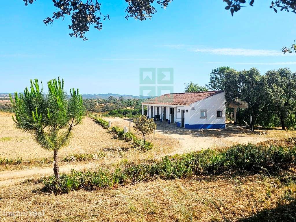 Herdade equestre com moradia T5 e piscina, 93,5ha, em Ourique, Alen...-12