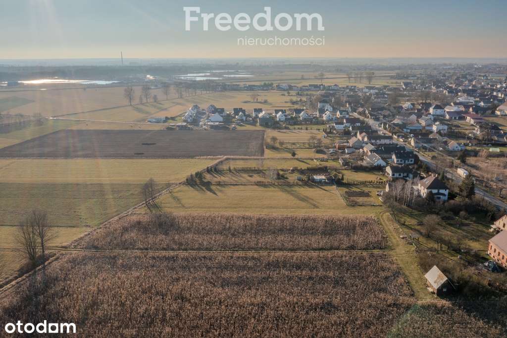 Ciekawa działka budowlana, Teligi, aktualny Mpzp - Pełny obrazek: 4/8