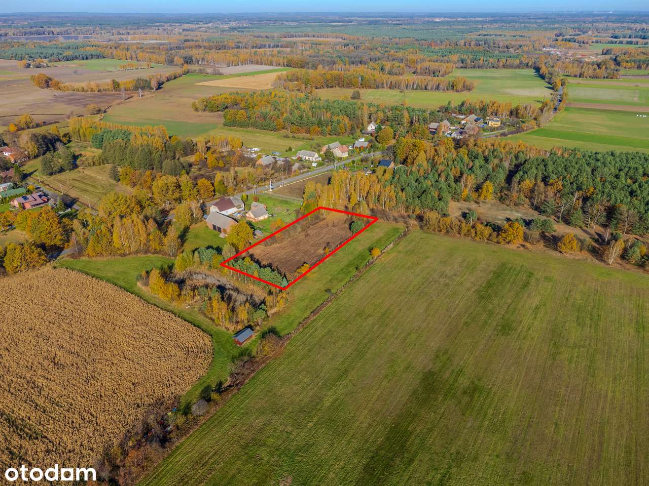 Przy lesie | 40 arów | budowlana | pod Twardogórą-1