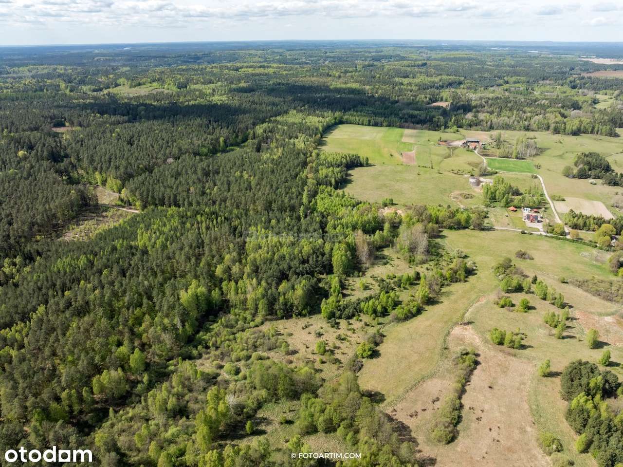 Działka Inwestycyjna w Jadaminach - Pełny obrazek: 5/8