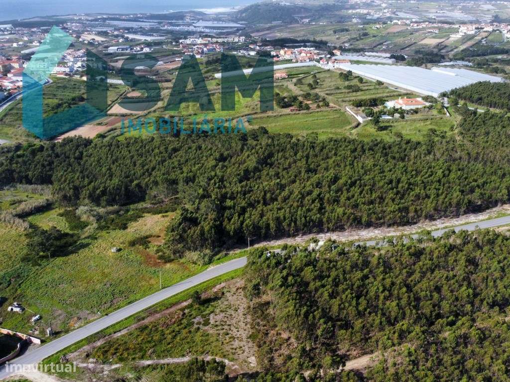 Terreno com viabilidade de desenvolvimento turístico - Grande imagem: 3/10