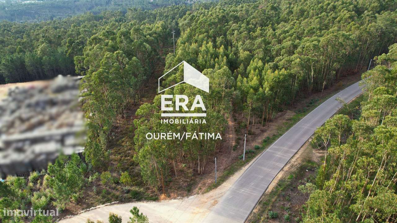 Terreno junto da zona industrial Caxarias - Grande imagem: 5/17