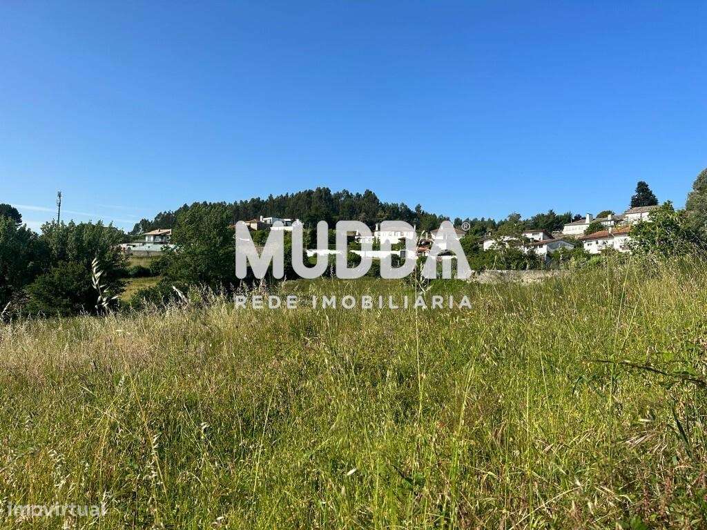 Terreno p/construção em altura - Pinheiro da Bemposta, Oliveira de Aze - Grande imagem: 4/18