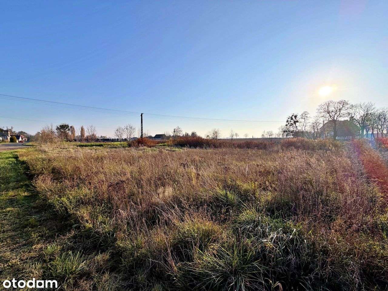 Działka z Wz pod Zab Jenorodzinną | Gutowo Wielkie-0