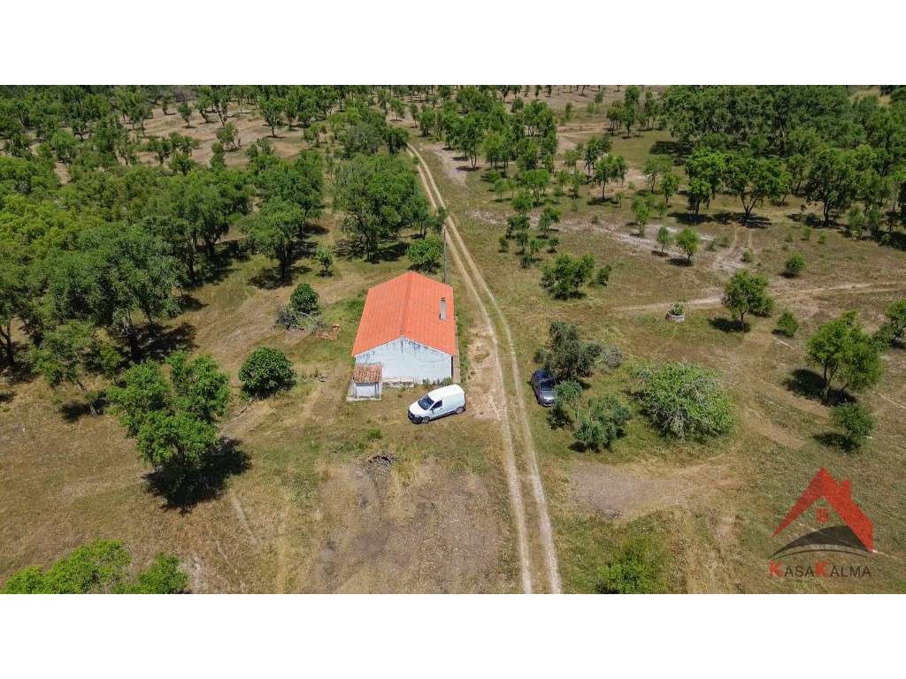 HERDADE COM 18,7 HA | TURISMO AGRICULTURA ENERGIA SOLAR - Grande imagem: 3/28