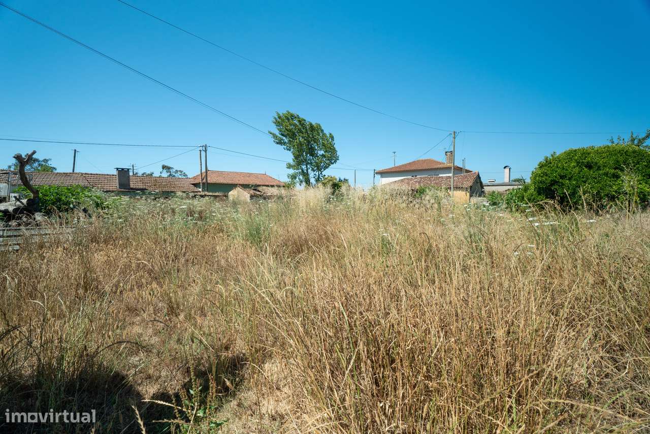 Terreno para venda - Murtosa-3