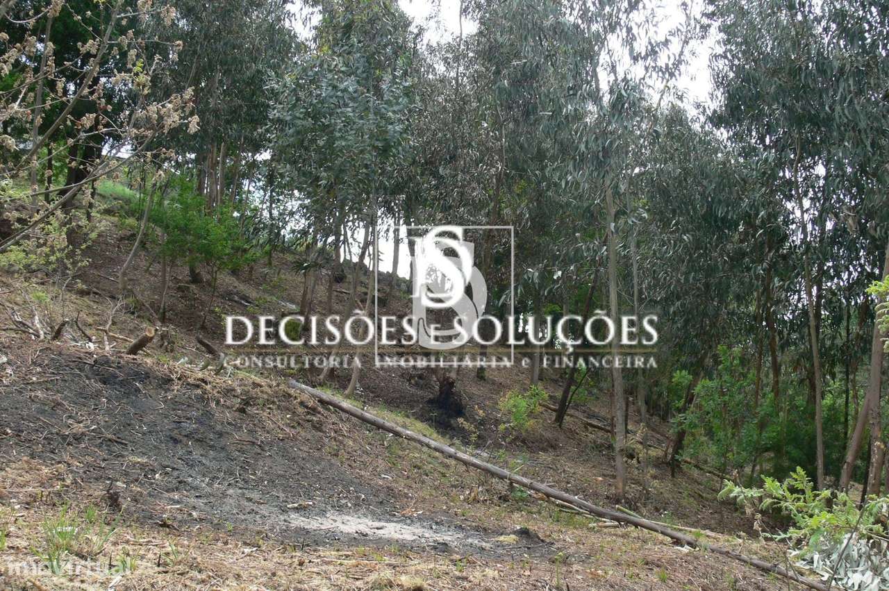 Terreno Não definido em Salamonde-4