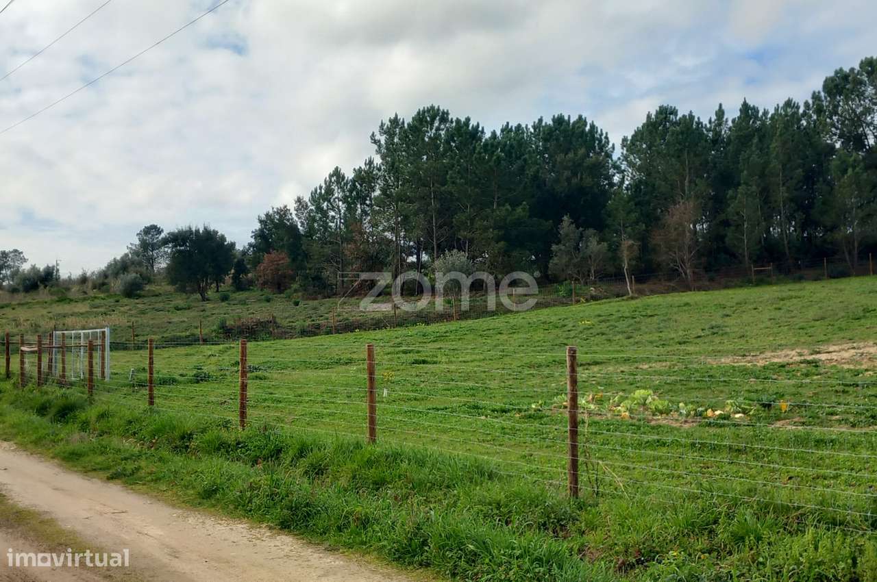 Terreno Rústico - Grande imagem: 2/8