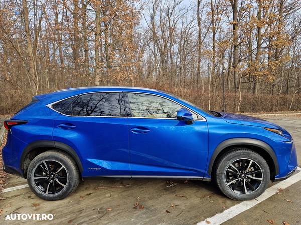 Lexus Seria NX 300h AWD Luxury - 6