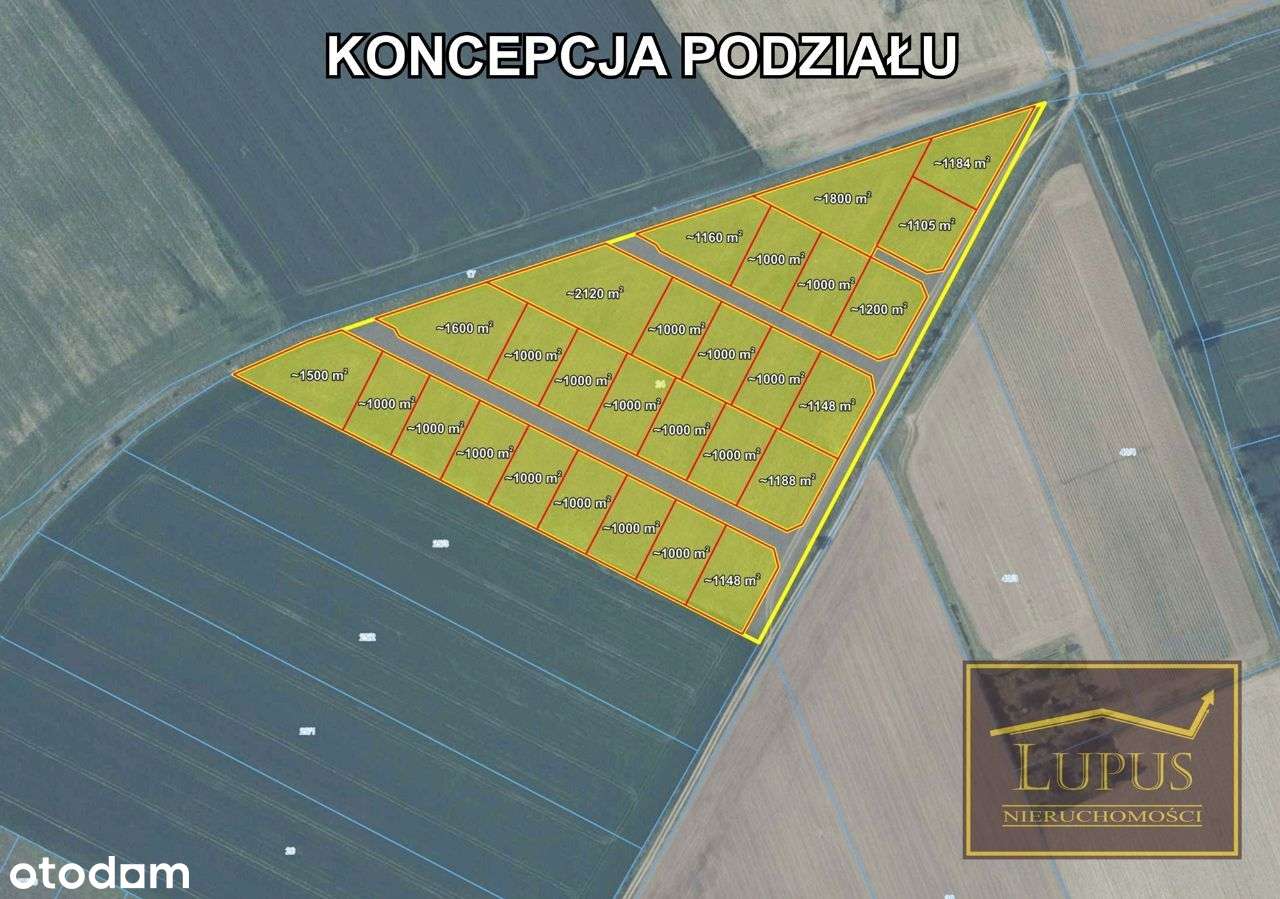 Działka rolna w Lubowie - Pełny obrazek: 4/11