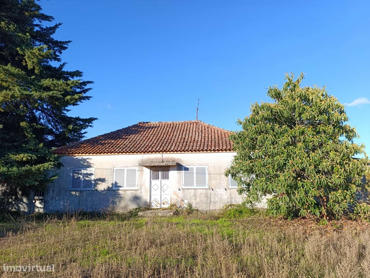 Quinta 25 Hectares e 3 Urbanos em Belmonte, Castelo Branco - Grande imagem: 4/46