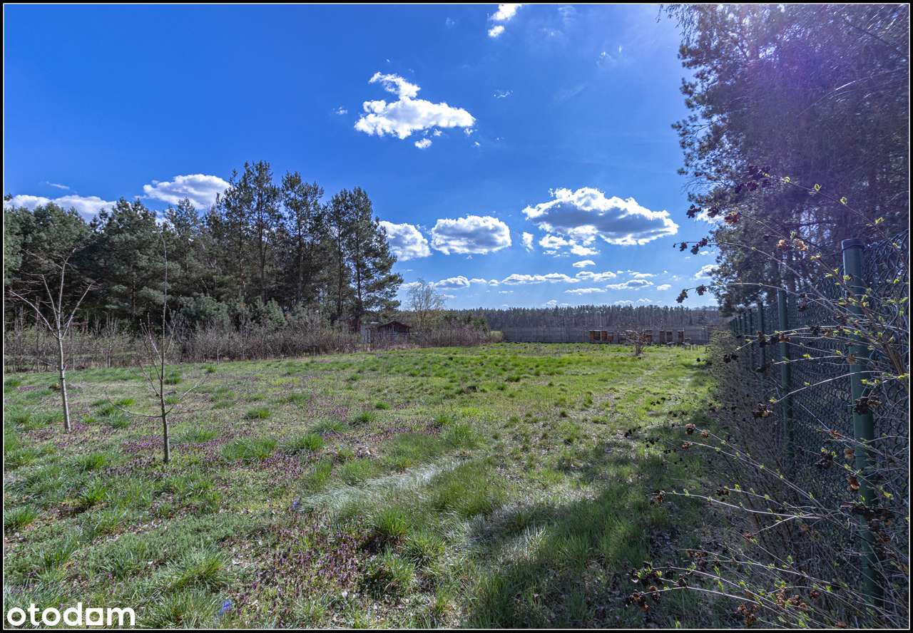 Ogrodzona działka rolna w Bednarach – inwestycja w ciszę i przestrzeń-10