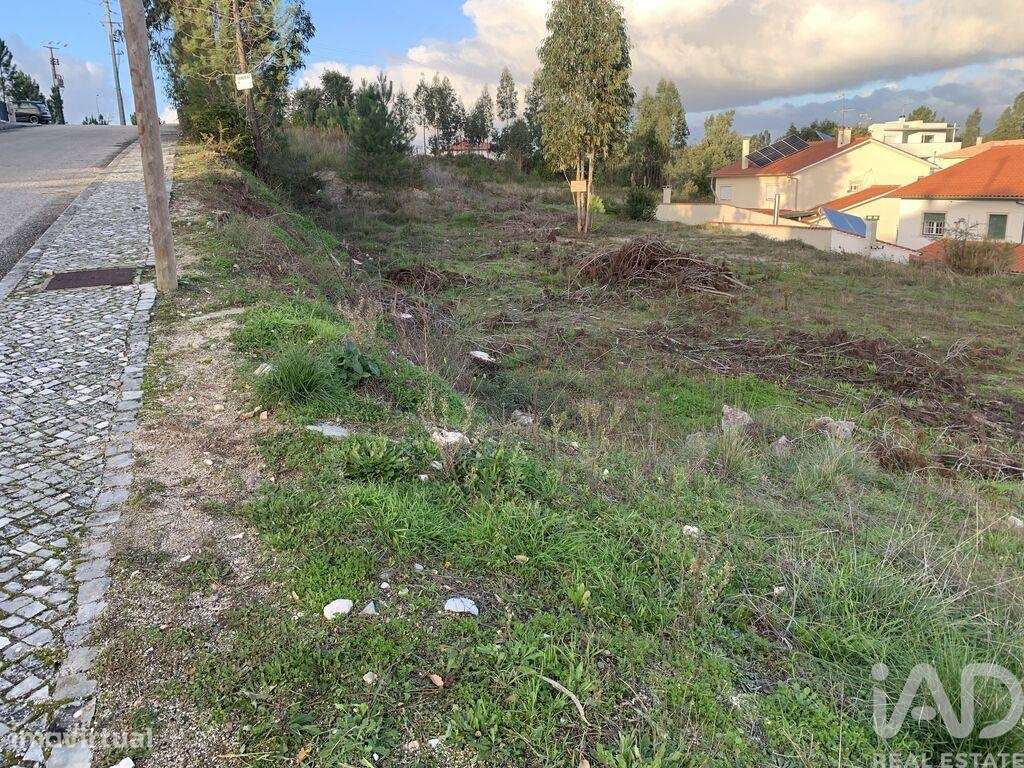 Terreno para construção em Ansião - Grande imagem: 4/23