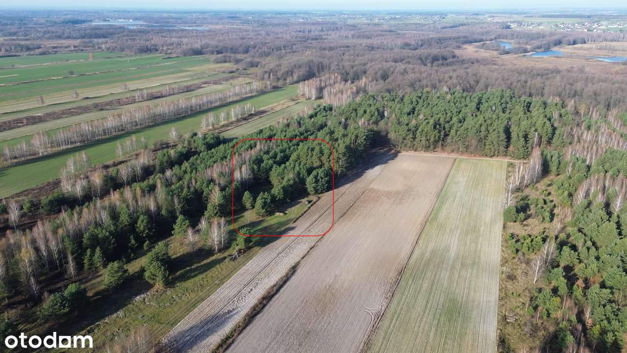 Nowa Dąbrówka - działka  3283 m² (ok. 67 × 49 m) z WZ - Pełny obrazek: 4/10