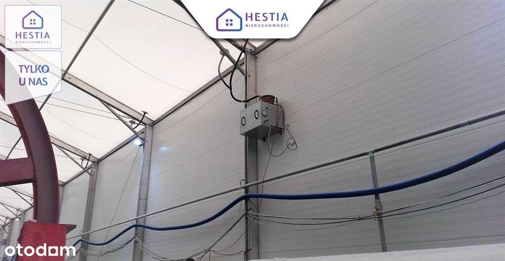 Hala magazynowa 1260 m² – demontowana, kompletna-3