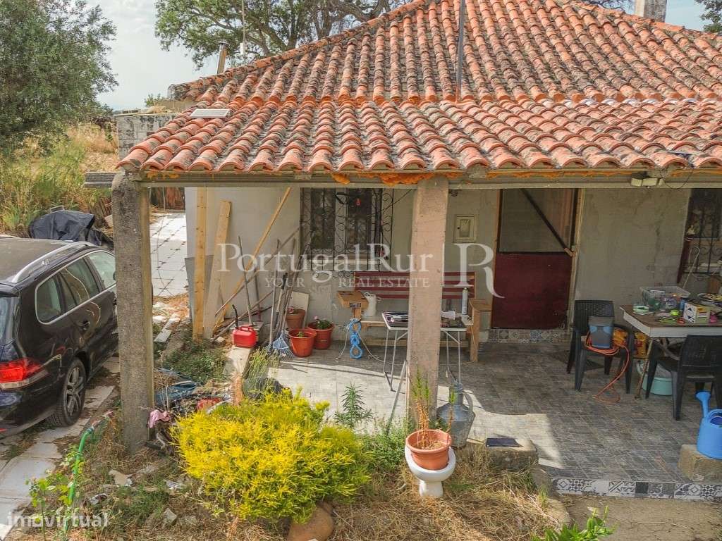 Quintinha de 1.8 hectares em Medelim-16
