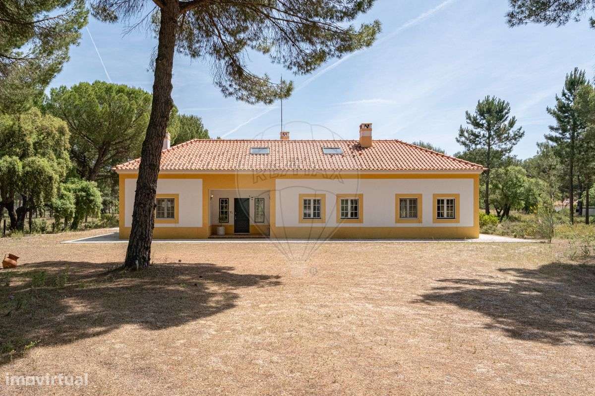 Quinta T5 para venda - Grande imagem: 4/50