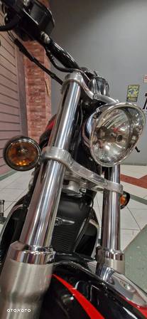 Harley-Davidson Inny - 11