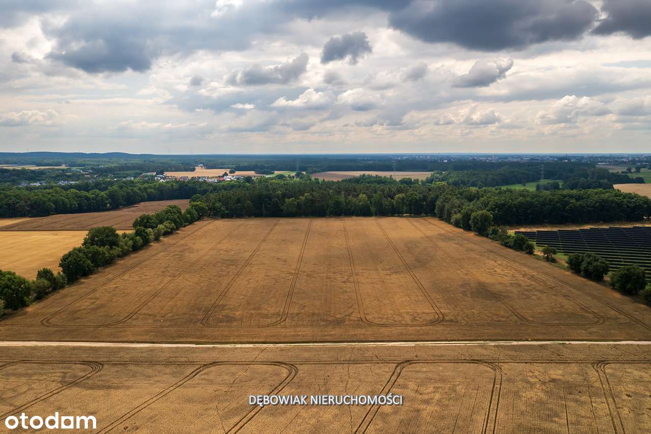 II etap sprzedaży / Atrakcyjne nowe osiedle w Gronówku / blisko Leszna-17
