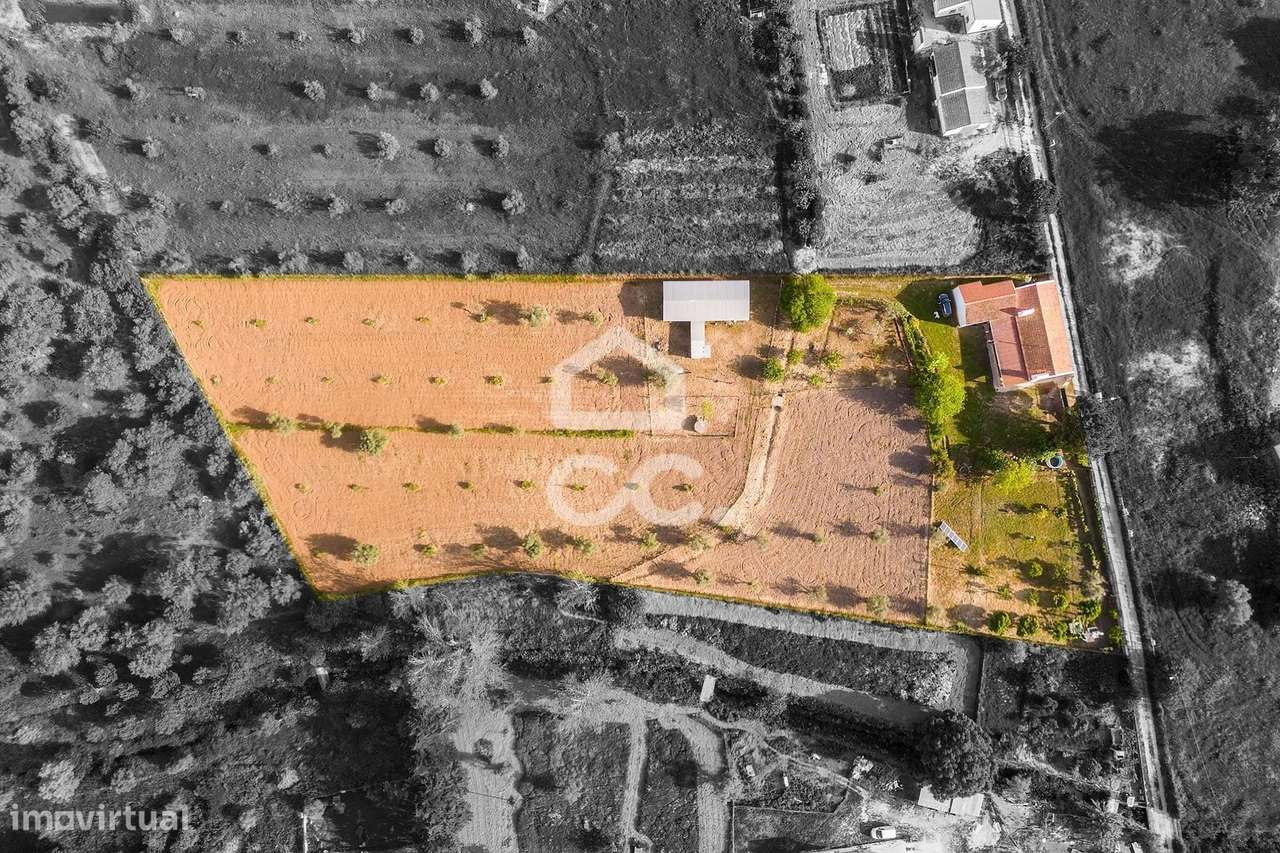 Quinta de 9250m2 c/ Moradia T4 térrea, anexo e armazém | Azaruja - Grande imagem: 4/60