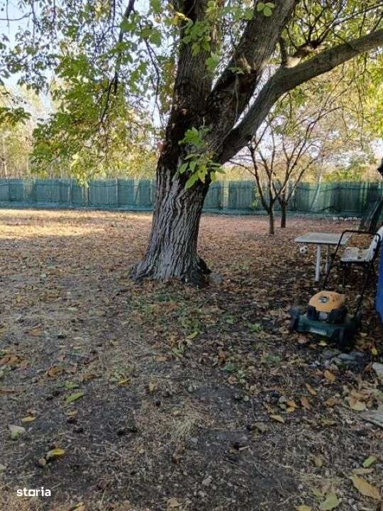 Buftea - Domeniul Stirbey - Imagine principală: 4/8