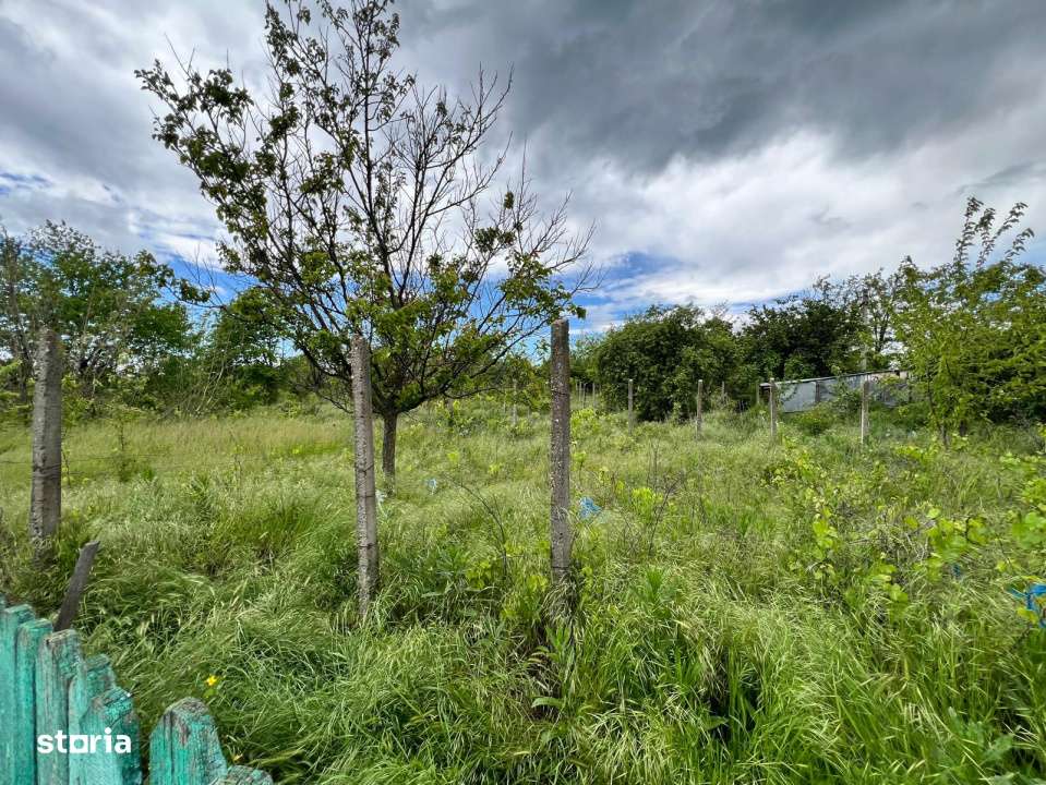 Casa + teren 4430 mp, vie si pomi fructiferi, 22 km de Tecuci-12