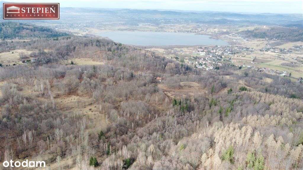 Działka inwestycyjna w Sosnówce - Pełny obrazek: 4/4