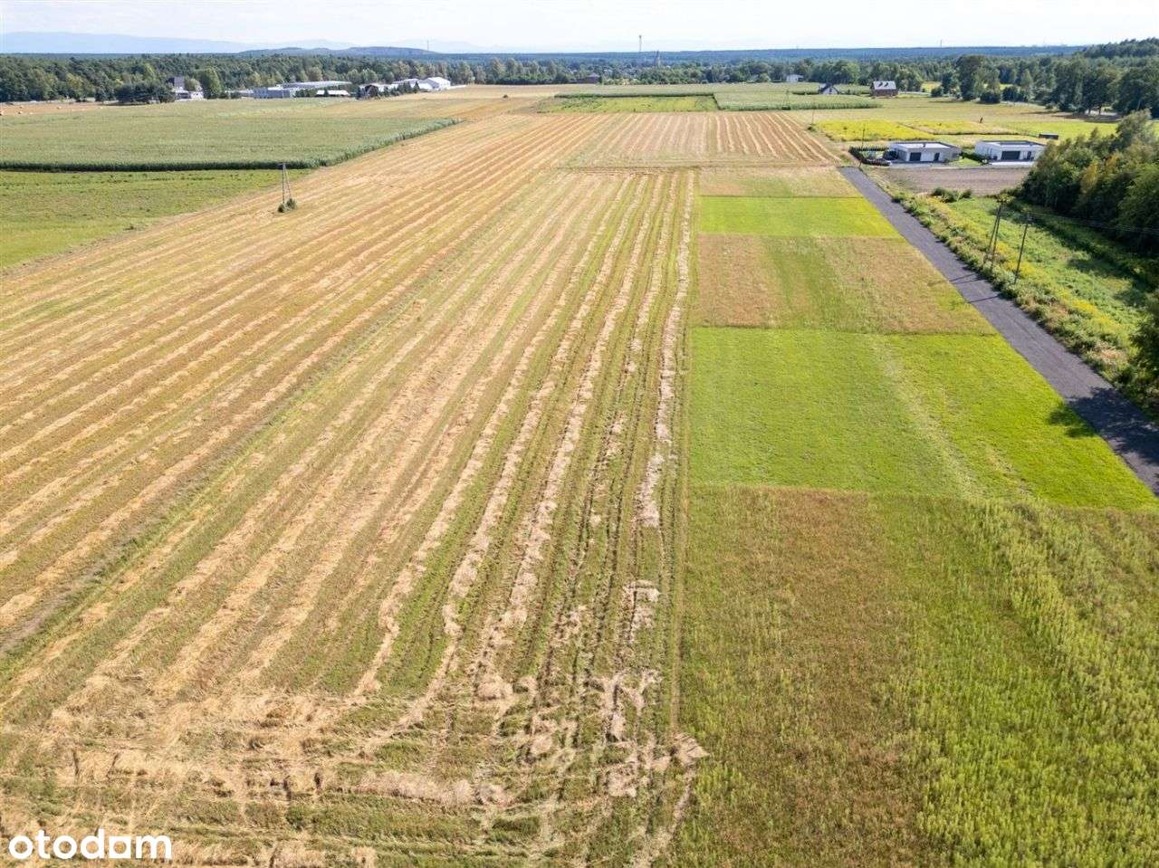 Działka budowlana Orzesze-5