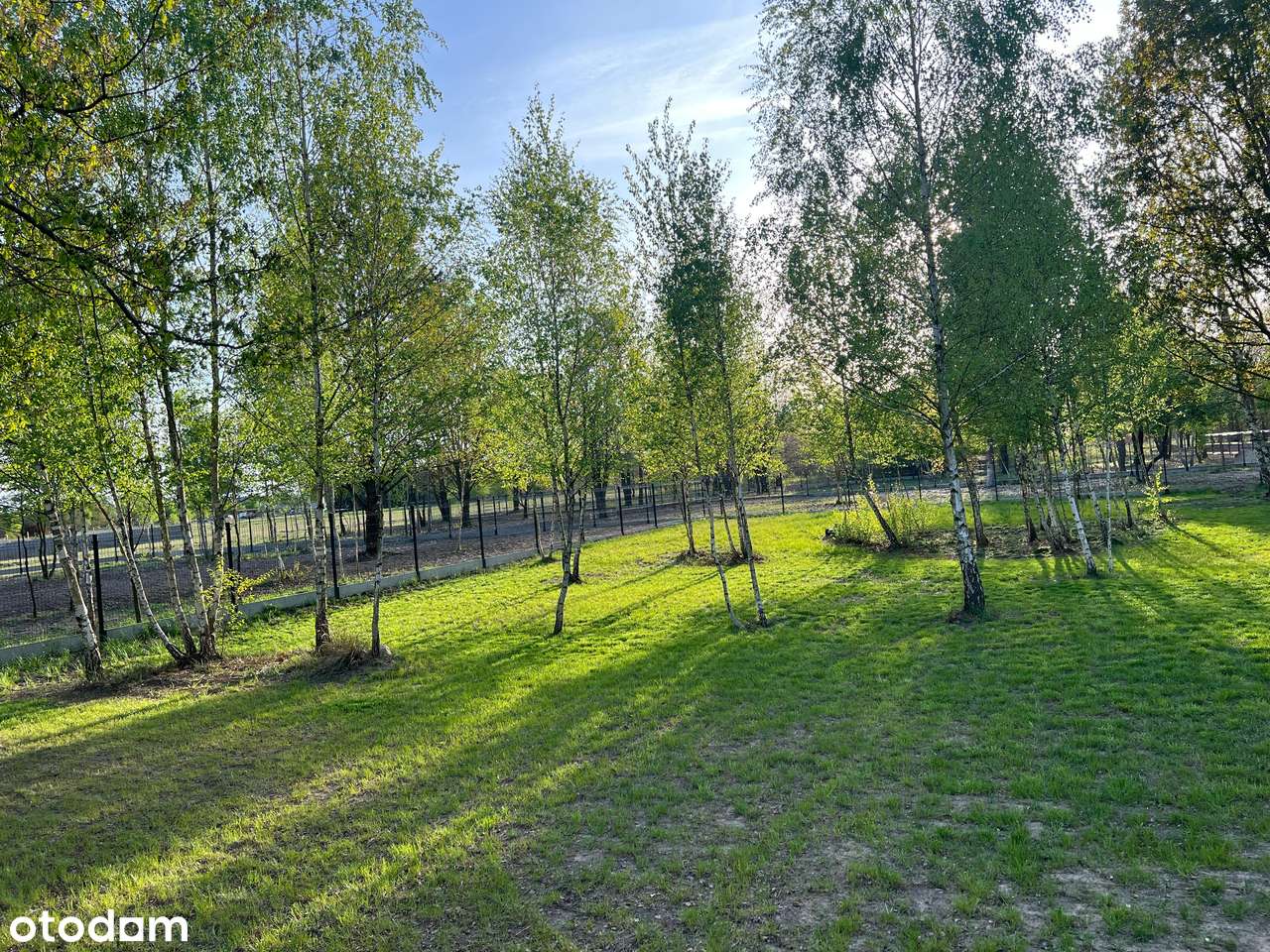 Dom PASYWNY STODOŁA 70m2/ DZIAŁKA 1220m2 POD LASEM! 17 KM do Warszawy. - Pełny obrazek: 5/10