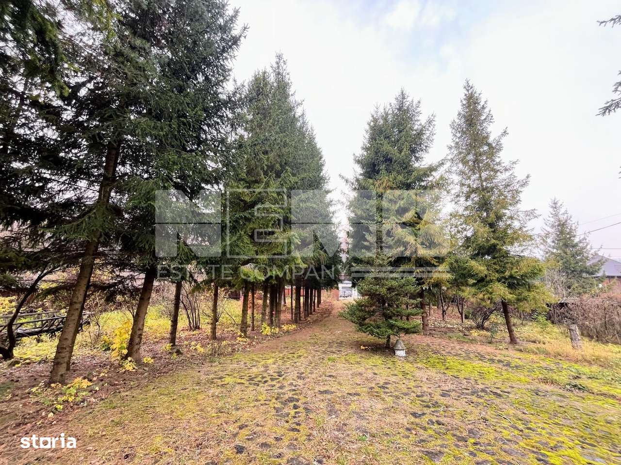 CABANA MODERNA 300 mp - Imagine principală: 4/20