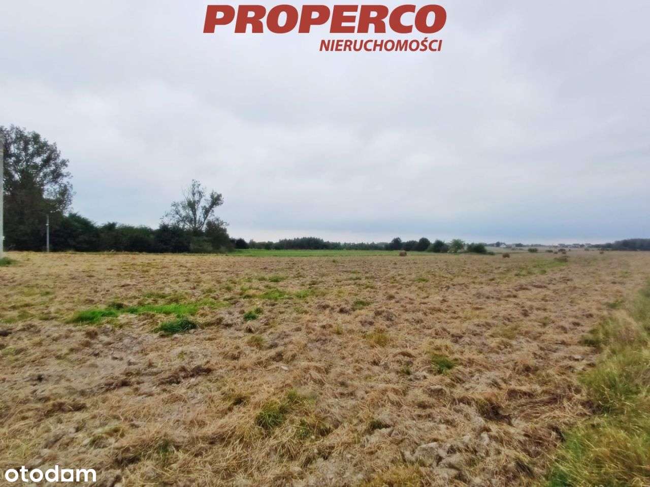 atrakcyjna działka 924m2, Brynica k. Kielc (media) - Pełny obrazek: 5/5