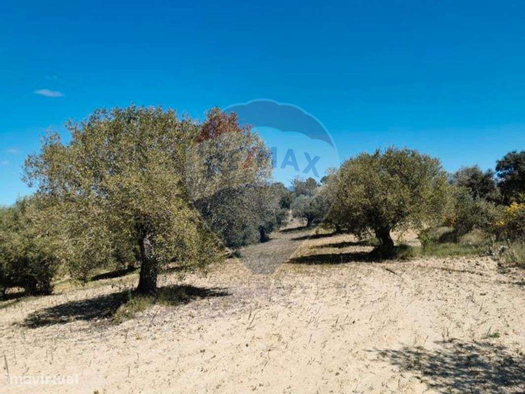 Terreno  para venda - Grande imagem: 5/13