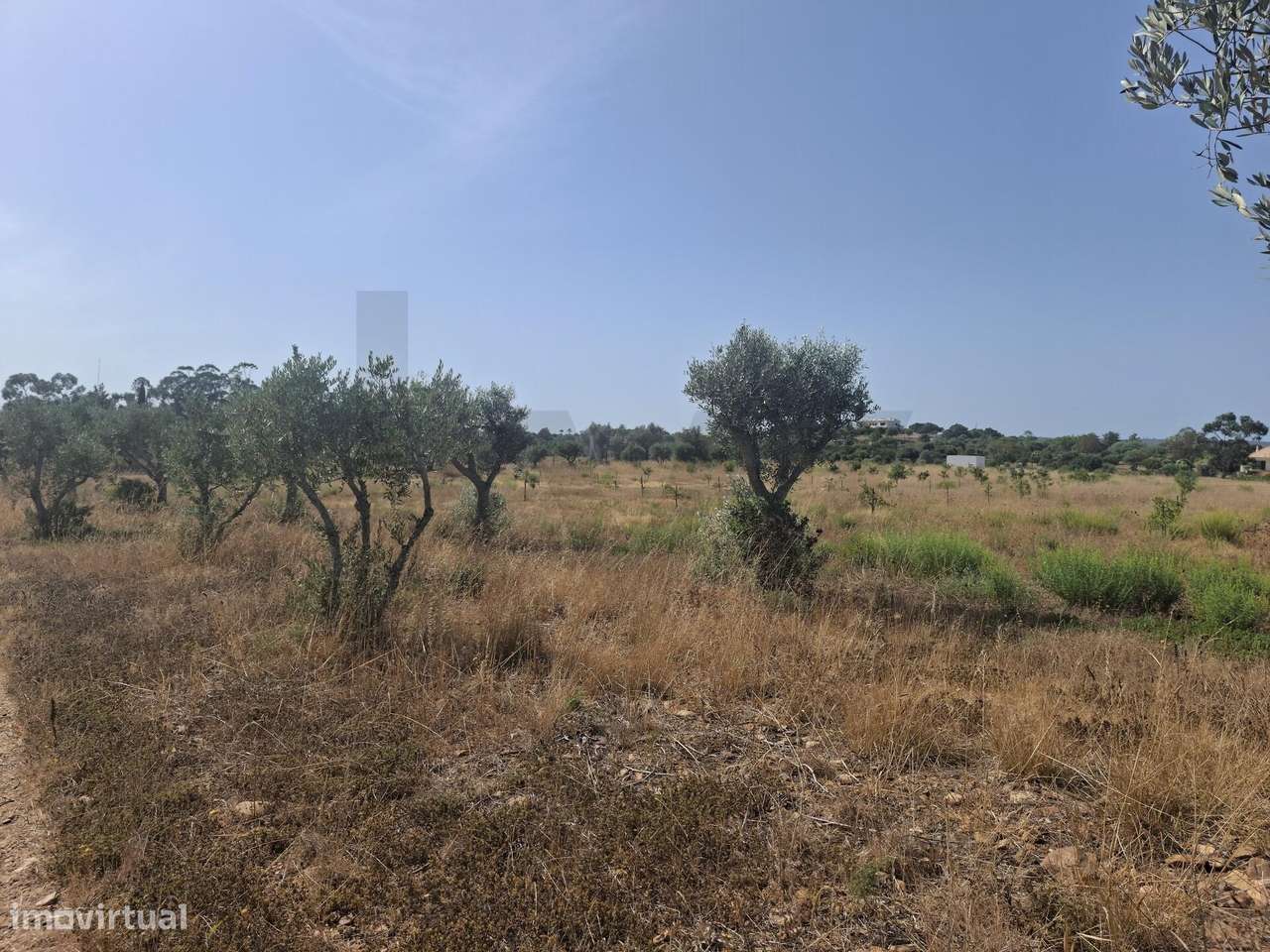 Propriedade agrícola com 78.640 m2 em Vale da Lama, Odiáxere.-7