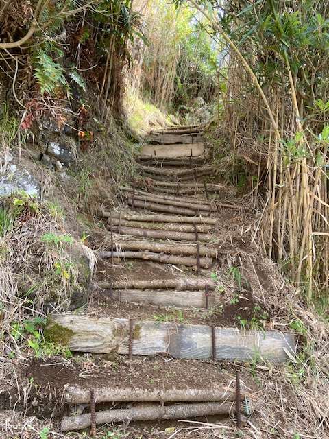 Ocean view land in Maia, São Miguel Island - Azores - Grande imagem: 4/9
