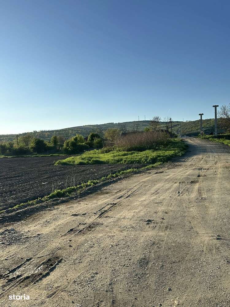 Teren, 10 000 m²,  - Imagine principală: 5/12