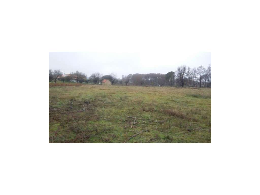 Terreno urbano em União Das Freguesias De Tourais E Lajes - Grande imagem: 4/4