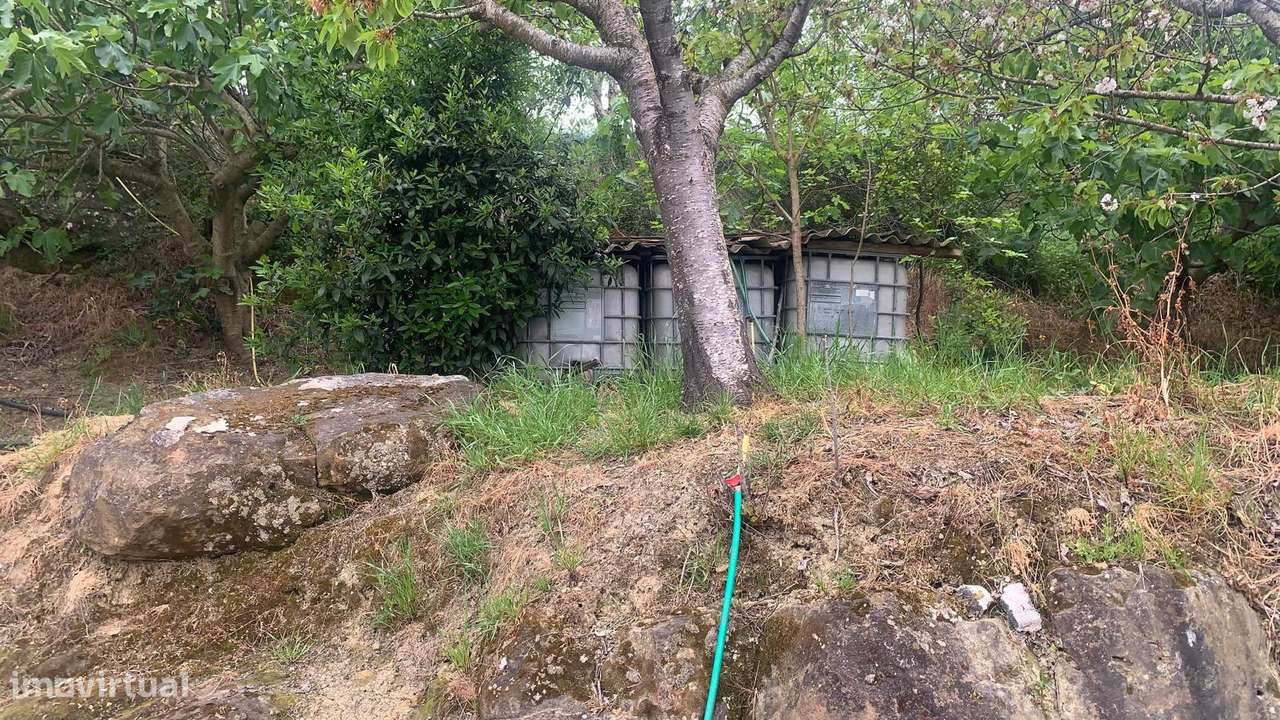 Terreno em São João dos Montes-5