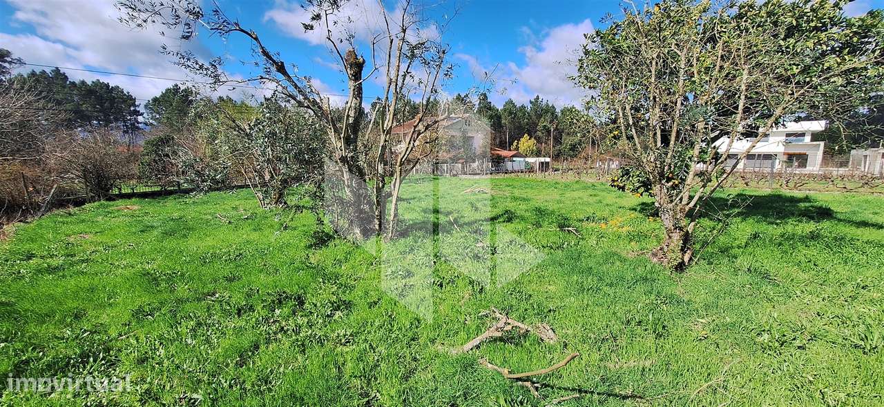 Moradia Devoluta T1 Venda em Molelos,Tondela-18