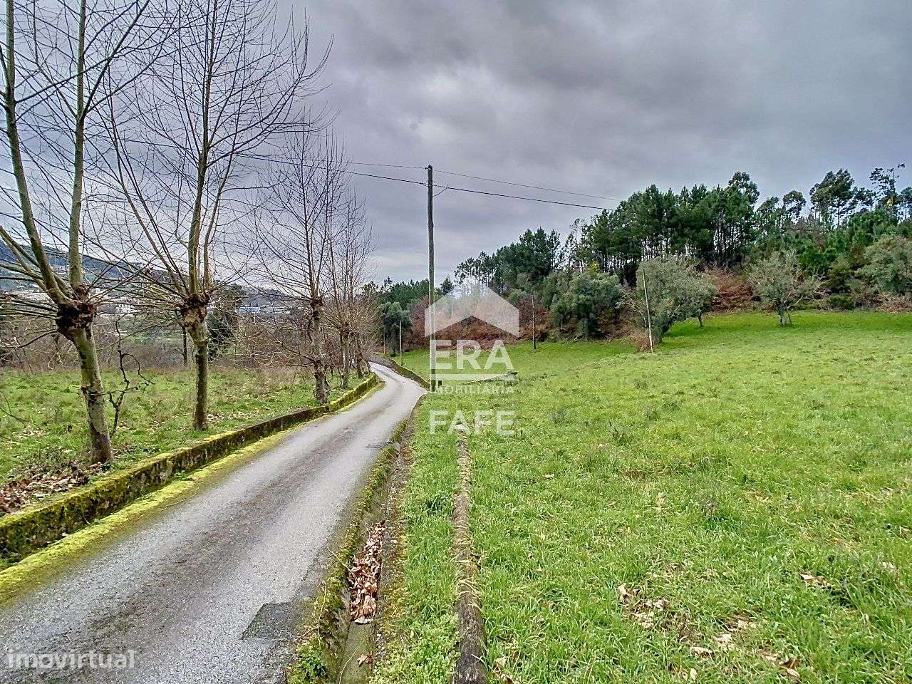 Quinta em Ribeira de Pena - Grande imagem: 4/40