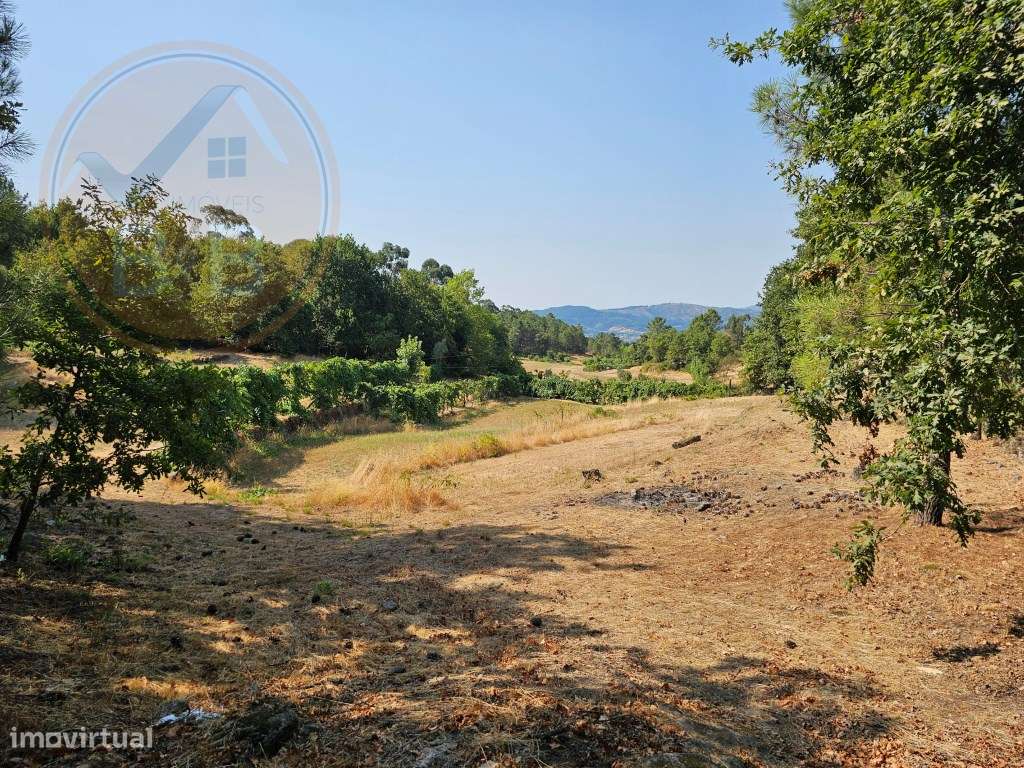 Quinta com Moradia T4 em Leiradas, Rio Douro - Cabeceiras de Basto-55