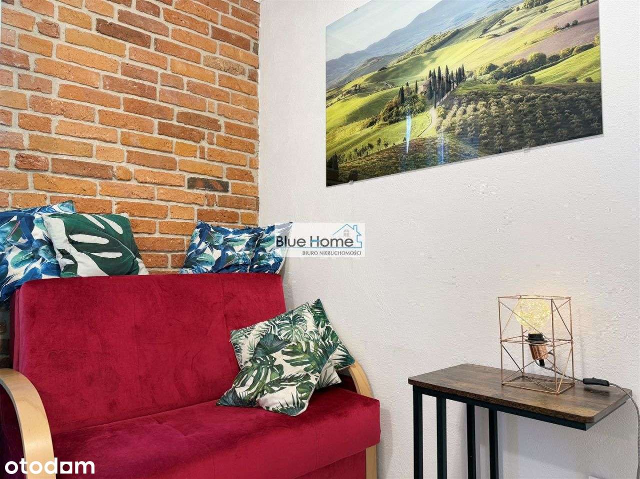 2/3 pokoje, wejście z przedpokoju do dużej piwnicy - Pełny obrazek: 4/19