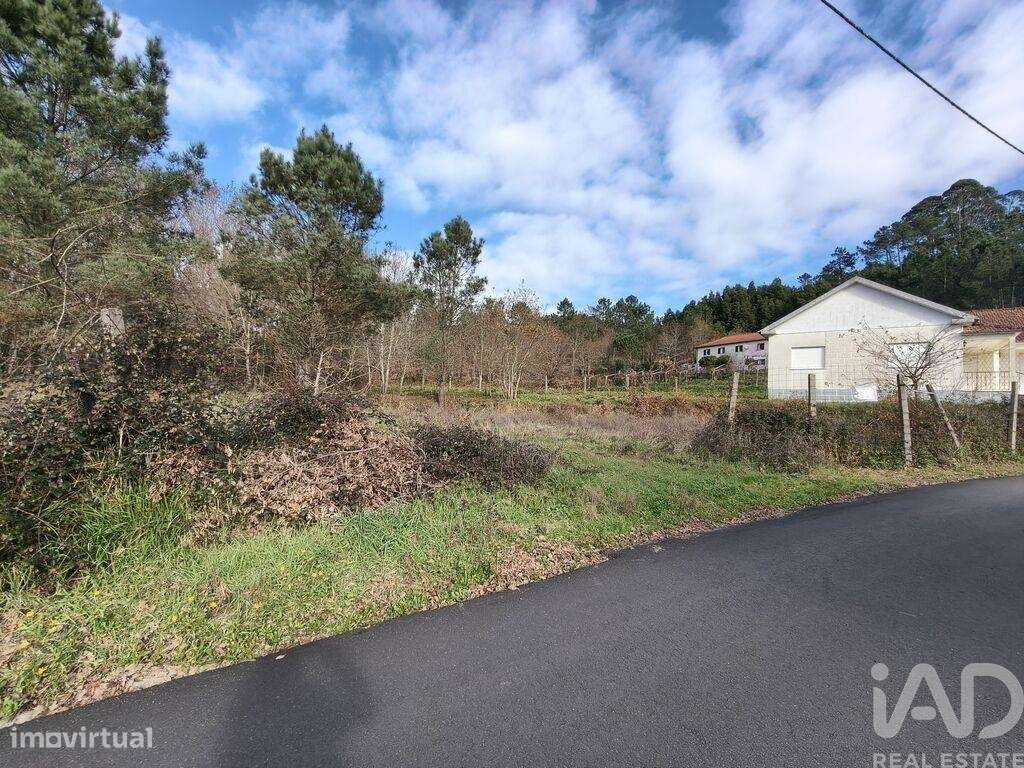 Terreno Agrícola em Covas - Grande imagem: 5/17