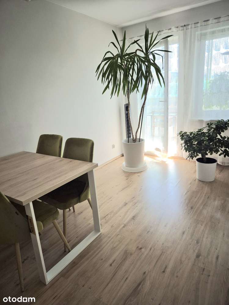 Mieszkanie z dużym ogrodem zimowym