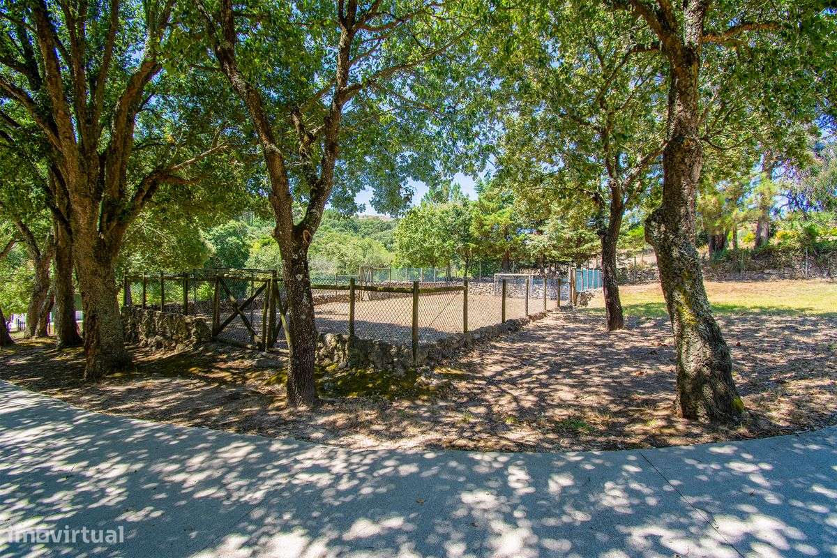 Quinta T13 para venda - Grande imagem: 5/23