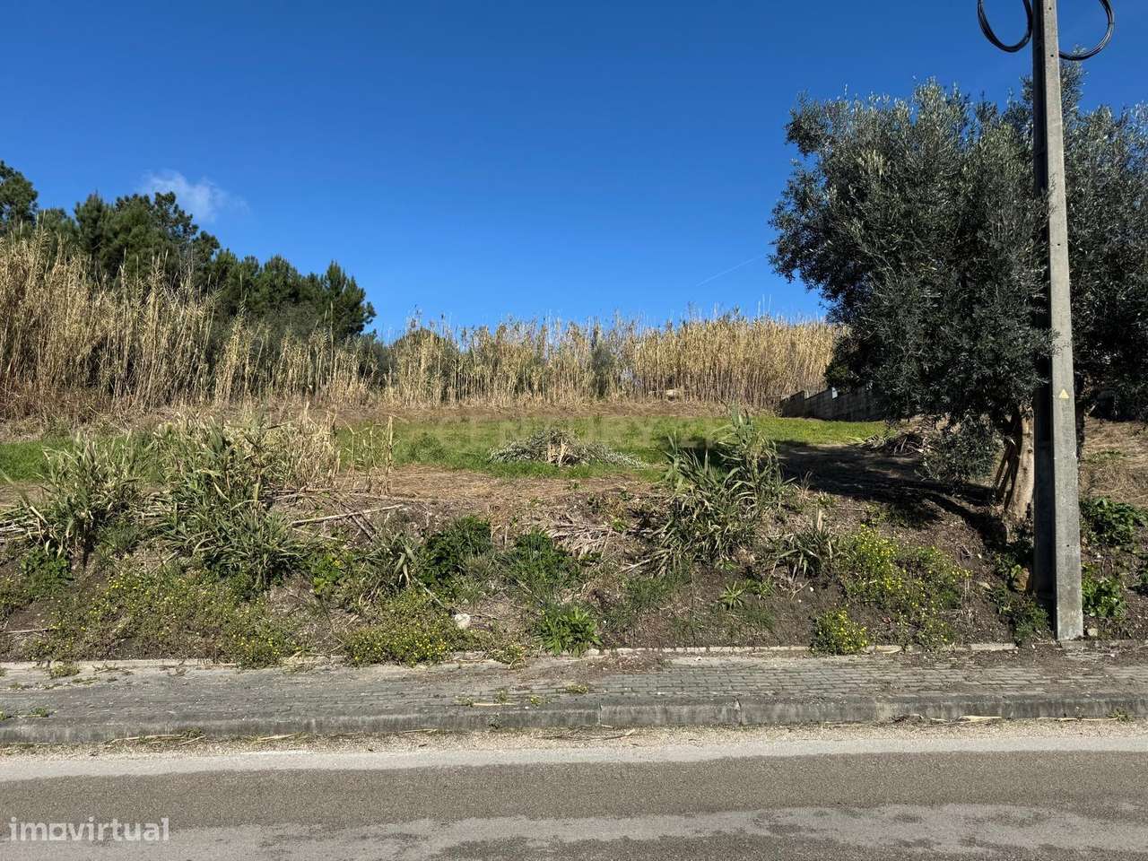 Terreno Urbano || Pombal - Grande imagem: 5/11